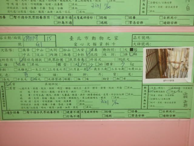 圖檔