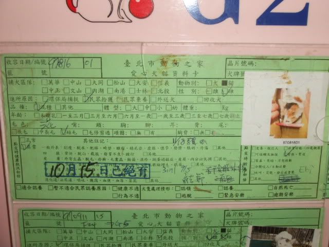 圖檔