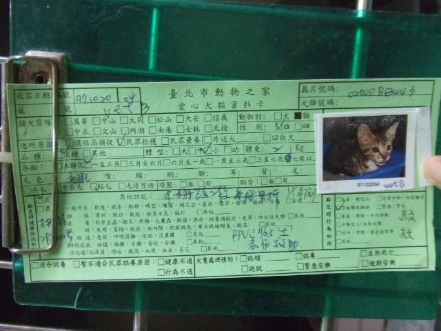 圖檔