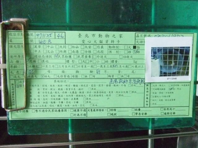 圖檔