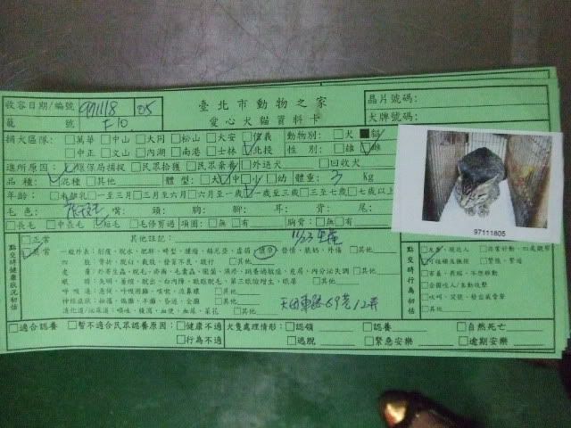 圖檔
