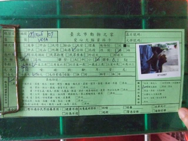 圖檔