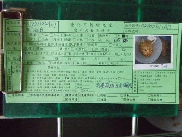圖檔