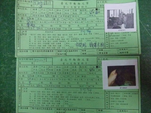 圖檔