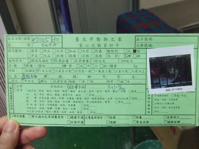 圖檔