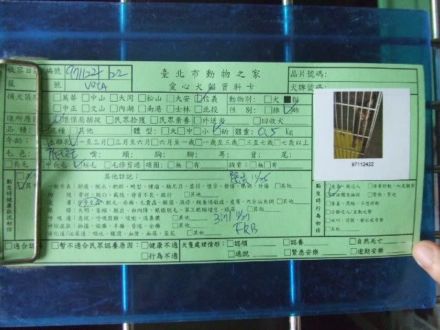 圖檔
