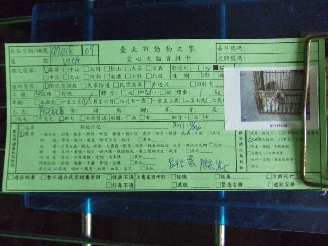 圖檔