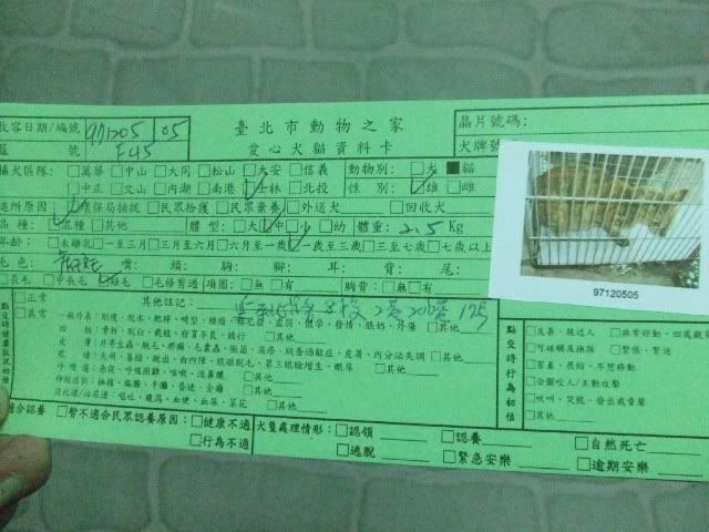 圖檔