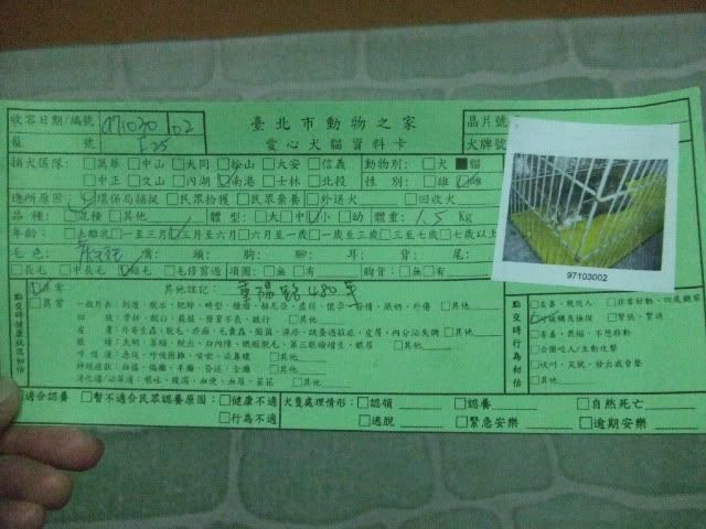 圖檔