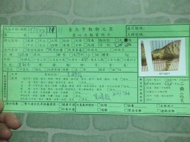 圖檔