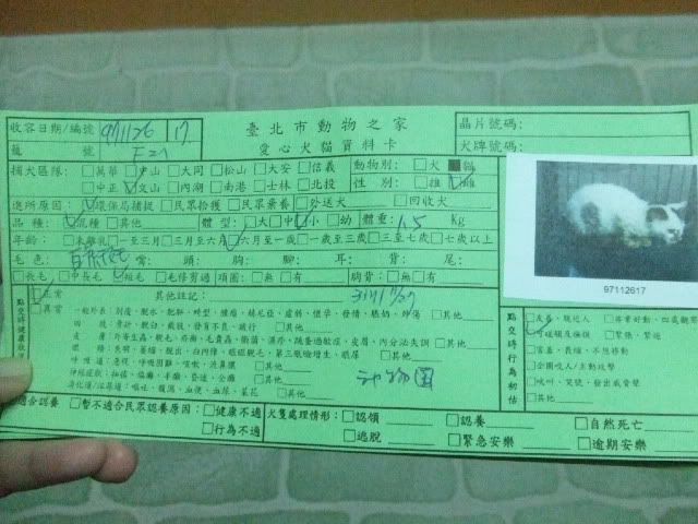 圖檔