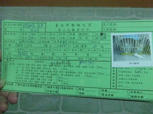 圖檔