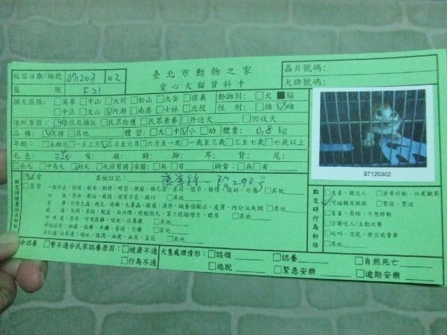圖檔