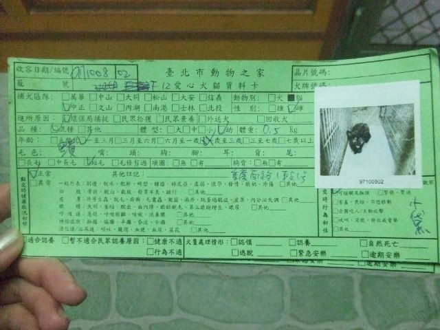 圖檔