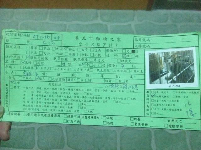 圖檔