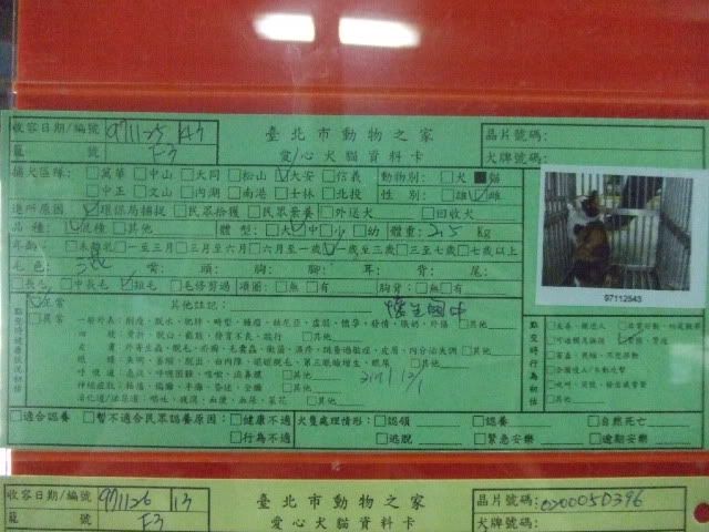 圖檔