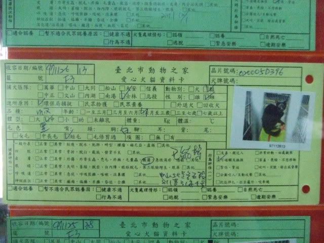 圖檔
