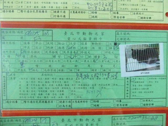 圖檔