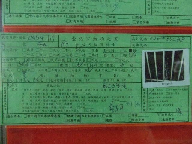 圖檔