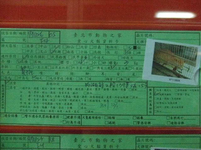 圖檔