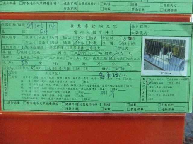 圖檔