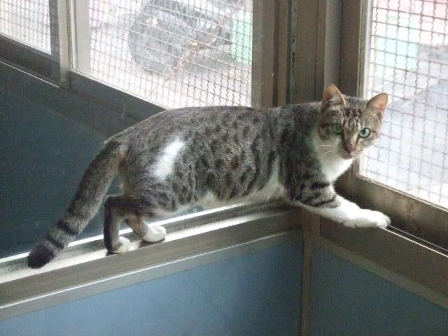 圖檔