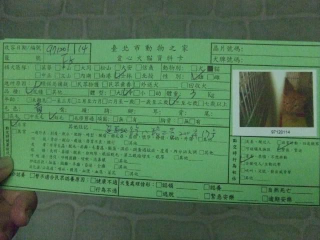 圖檔