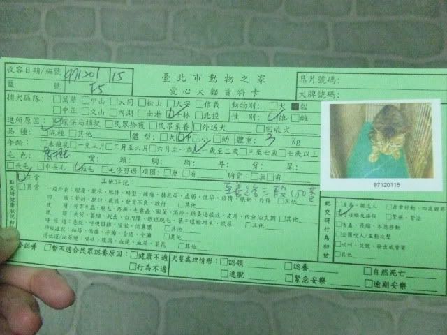 圖檔