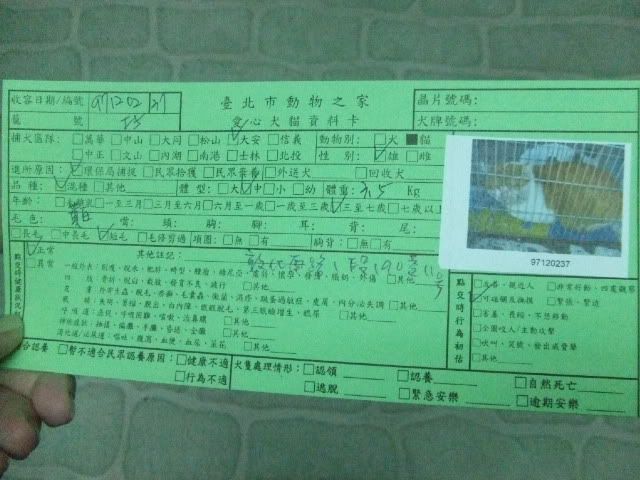 圖檔