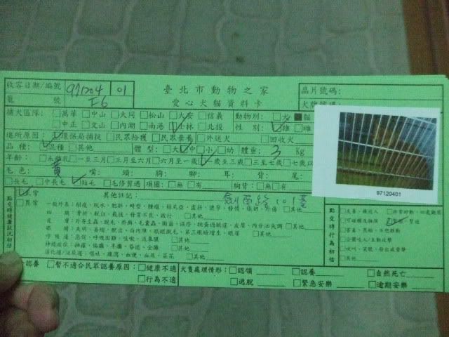 圖檔