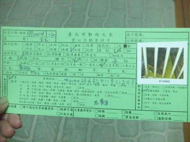 圖檔