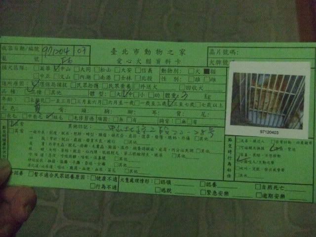圖檔