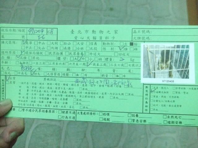 圖檔