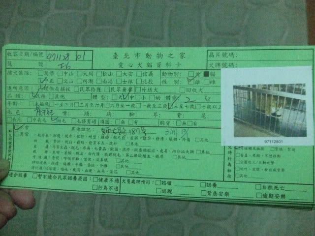 圖檔