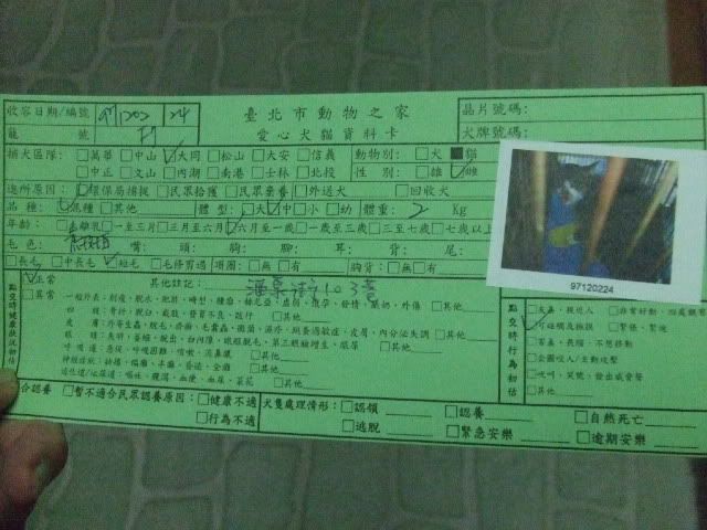 圖檔