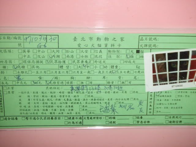 圖檔