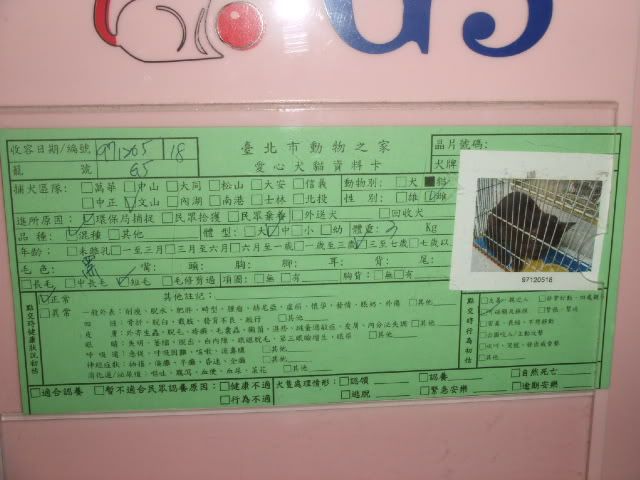 圖檔