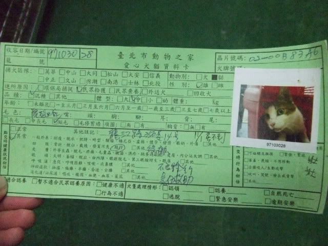 圖檔