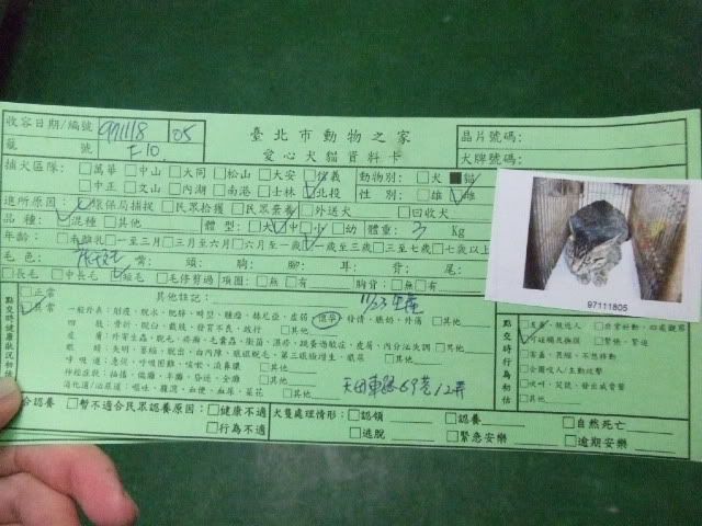圖檔