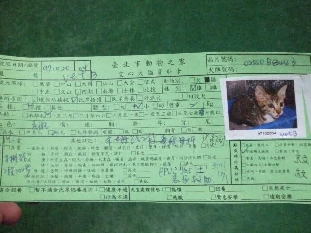 圖檔