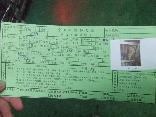 圖檔