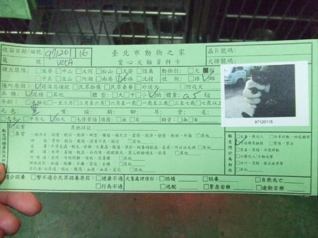 圖檔