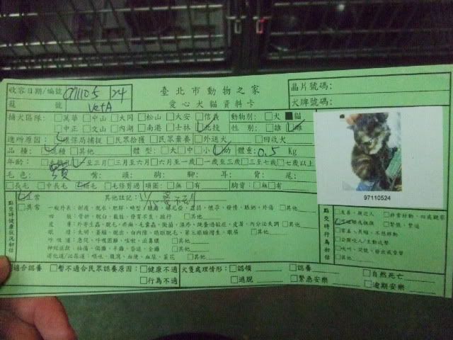 圖檔