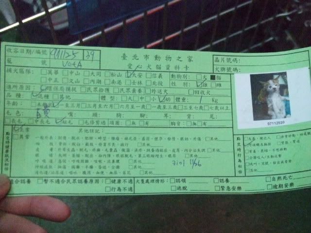 圖檔