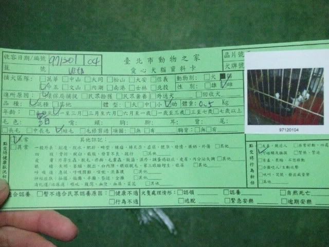 圖檔