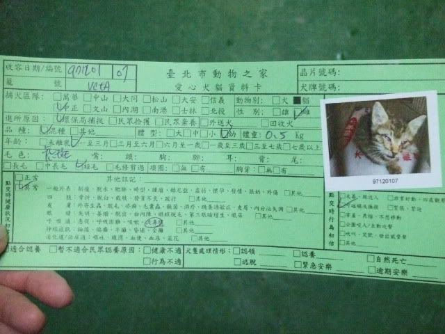 圖檔