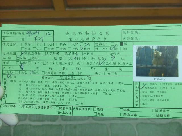 圖檔