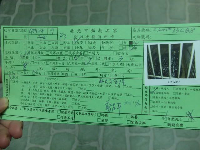 圖檔
