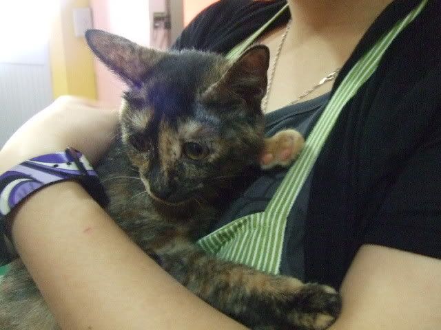 圖檔