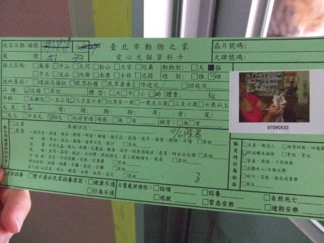 圖檔